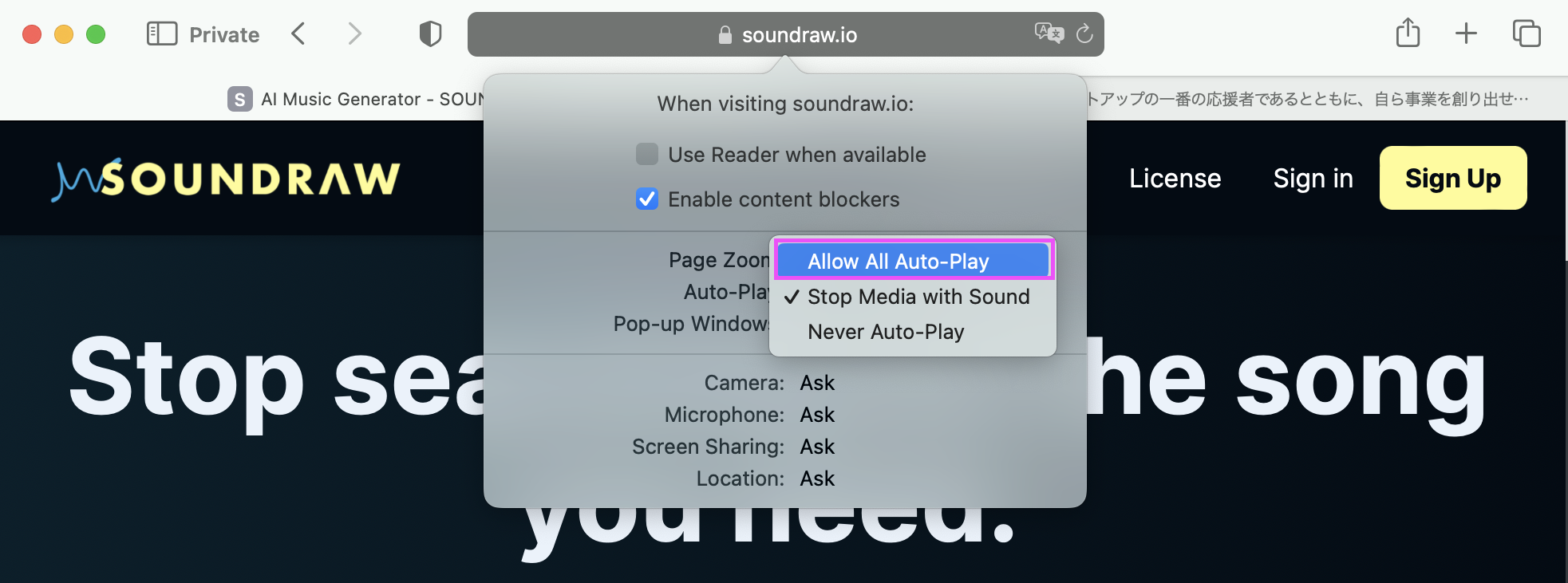 Safari_Auto-Play_setting2.png